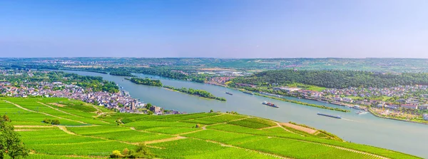 Панорама Реки Рейн Ущелье Верхний Средний Рейн Долины Винодельческого Региона — стоковое фото