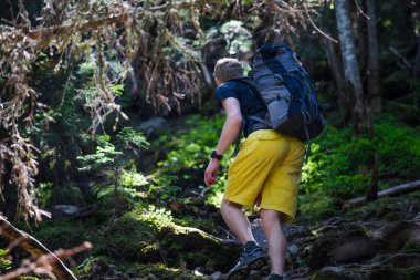 Uzun yürüyüşe çıkan kimse bir ahşap bir iz üzerinde