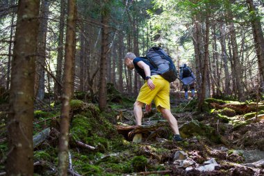 Yürüyüşçüler bir ahşap bir iz üzerinde