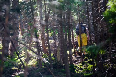 Uzun yürüyüşe çıkan kimse bir ahşap bir iz üzerinde