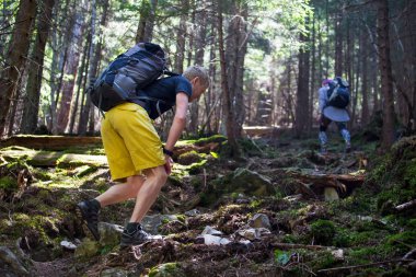 Yürüyüşçüler bir ahşap bir iz üzerinde