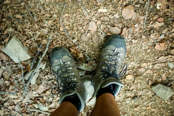 Zapatos Trekking Para Hombre Mientras Camina Bosque —  Fotos de Stock