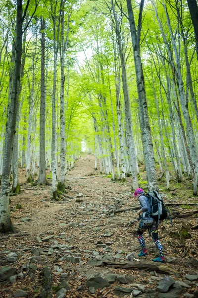 Hiker Walks Trail Wood — Stock Photo, Image