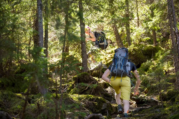 Wandelaars Een Parcours Een Bos — Stockfoto