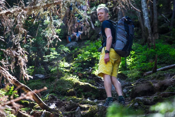 Wandelaar Een Parcours Een Bos — Stockfoto