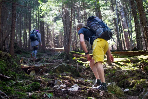 Turisté Cestě Lese — Stock fotografie