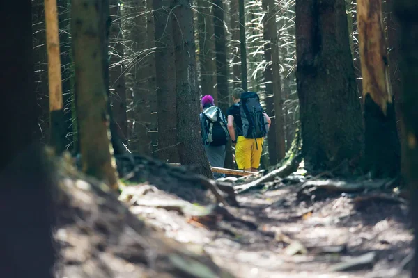 Wandelaars Een Parcours Een Bos — Stockfoto