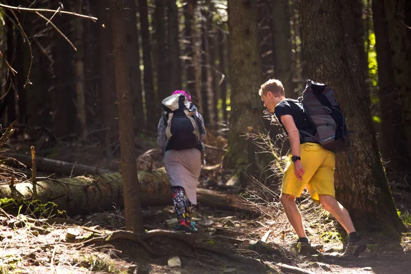 森の中のトレイルをハイキング — ストック写真