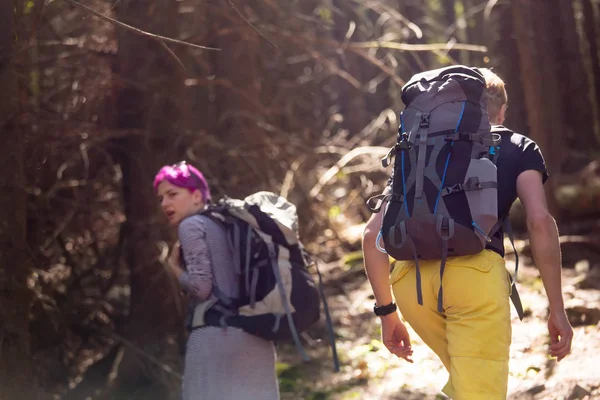 Hikers Trail Wood — Stock Photo, Image