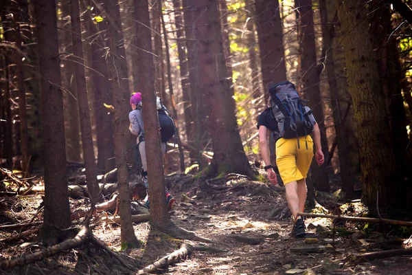 Wandelaars Een Parcours Een Bos — Stockfoto