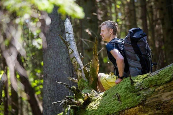 Hiker Rests Trail Wood — Stock Photo, Image