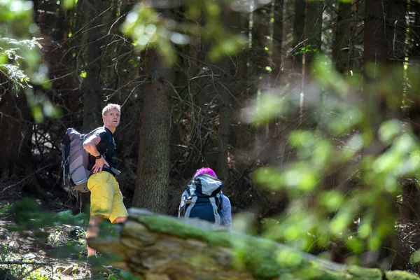 Yürüyüşçüler bir ahşap bir iz üzerinde