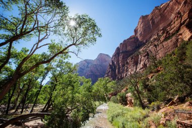 Zion National park, Utah, Amerika peyzaj