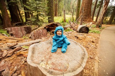 Baby boy visit Sequoia national park in California, USA clipart