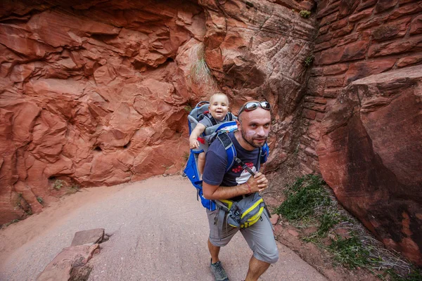 Man Med Hans Pojke Vandrar Zion National Park Utah Usa — Stockfoto