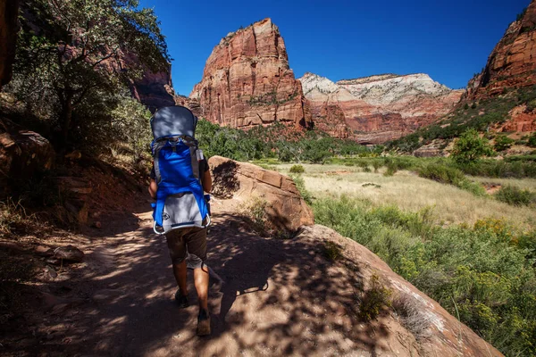 Man Med Hans Pojke Vandrar Zion National Park Utah Usa — Stockfoto