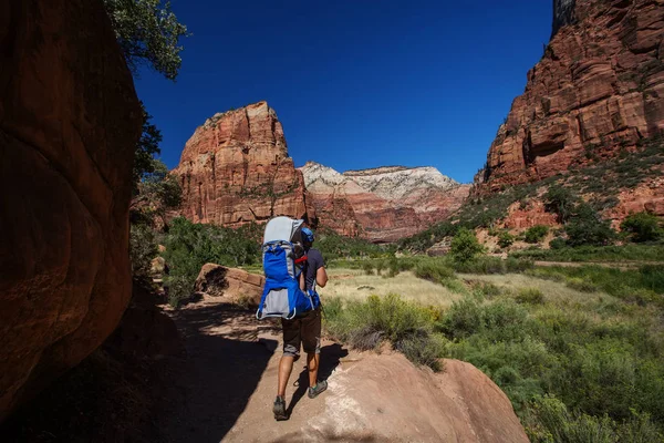 Homem Com Seu Bebê Está Caminhando Parque Nacional Zion Utah — Fotografia de Stock