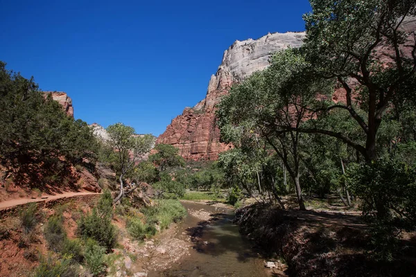 Zion National park, Utah, Amerika peyzaj