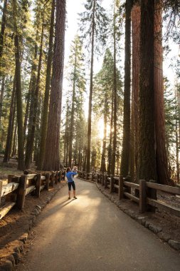 Bebek annesiyle ziyaret Sequoia national park California, ABD