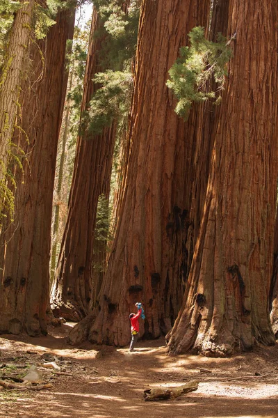 Vader Met Zoontje Bezoek Sequoia Nationaalpark Californië Usa — Stockfoto