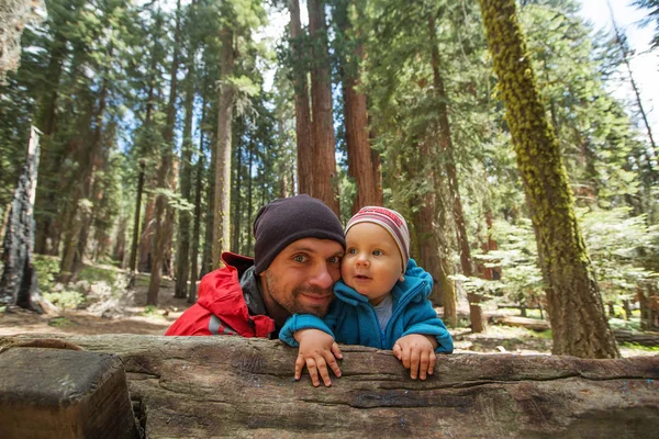 Padre Con Hijo Pequeño Visita Parque Nacional Sequoia California —  Fotos de Stock