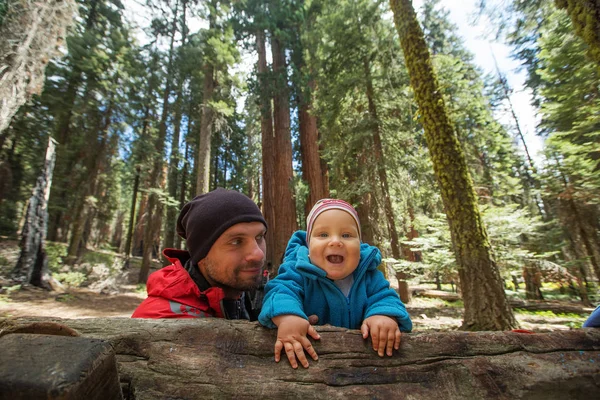 Babayla Oğlunu Ziyaret Sequoia National Park California Abd — Stok fotoğraf