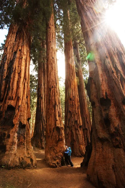 乳児を持つ母が米国カリフォルニア州のセコイア国立公園を訪問します — ストック写真