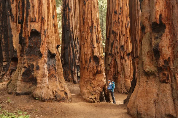 Mor Med Spädbarn Besöka Sequoia Nationalpark Kalifornien Usa — Stockfoto