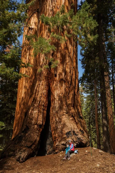 Moeder Met Kind Bezoek Sequoia Nationaalpark Californië Usa — Stockfoto