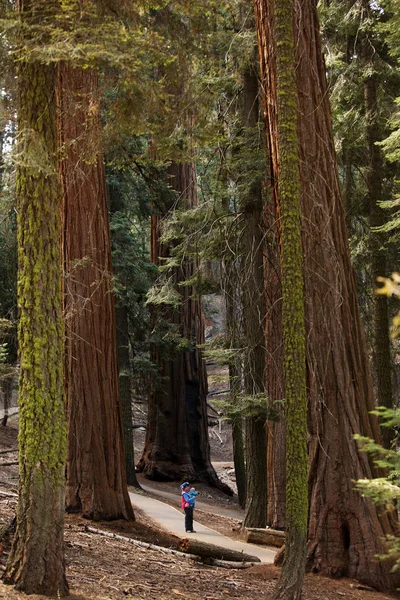 Anya Csecsemő Látogasson Sequoia Nemzeti Park Kalifornia Usa — Stock Fotó