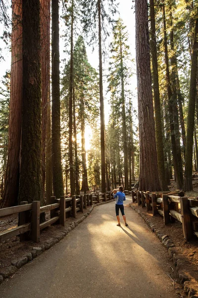 Anya Csecsemő Látogasson Sequoia Nemzeti Park Kalifornia Usa — Stock Fotó