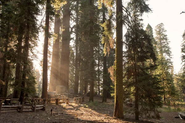 Ηλιοβασίλεμα Στο Εθνικό Πάρκο Sequoia Καλιφόρνια Ηπα — Φωτογραφία Αρχείου