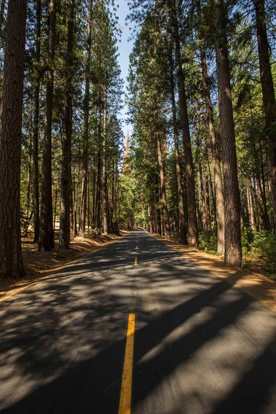 Zonsondergang Sequoia National Park Californië Usa — Stockfoto