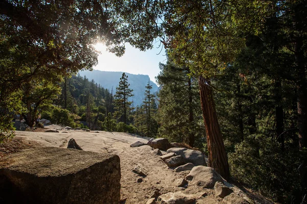 Yosemitský Národní Park Kalifornie Usa — Stock fotografie