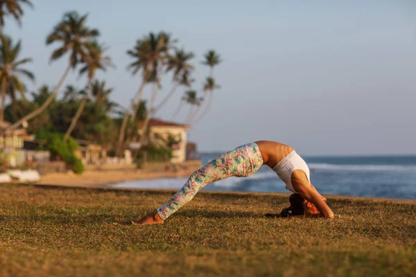 Kafkas kadın pratik Yoga tropic Okyanusu'nun sahil