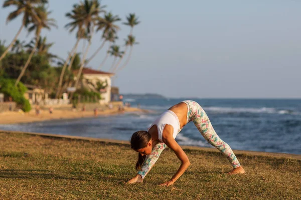 Kafkas kadın pratik Yoga tropic Okyanusu'nun sahil