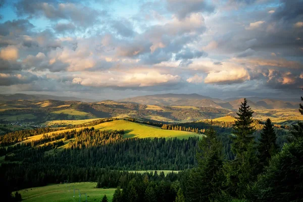 Indah Pegunungan Carpathian Pada Hari Musim Panas — Stok Foto