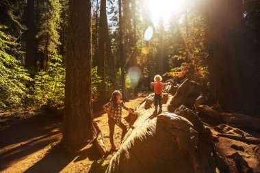 Yürümeye başlayan çocuk annesiyle ziyaret Yosemite Milli Parkı California, ABD