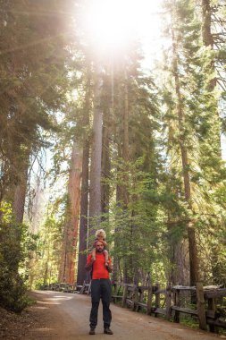 Yürümeye başlayan çocuk annesiyle ziyaret Yosemite Milli Parkı California, ABD