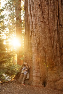Uzun yürüyüşe çıkan kimse Sequoia national park California, ABD