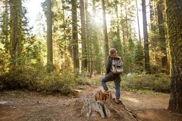 Perempuan Taman Nasional Yosimite Dekat Sequoia California Amerika Serikat — Stok Foto