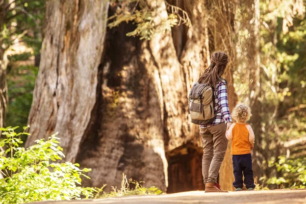 Anya Kisgyermek Keresse Fel Yosemite Nemzeti Park Kalifornia Usa — Stock Fotó
