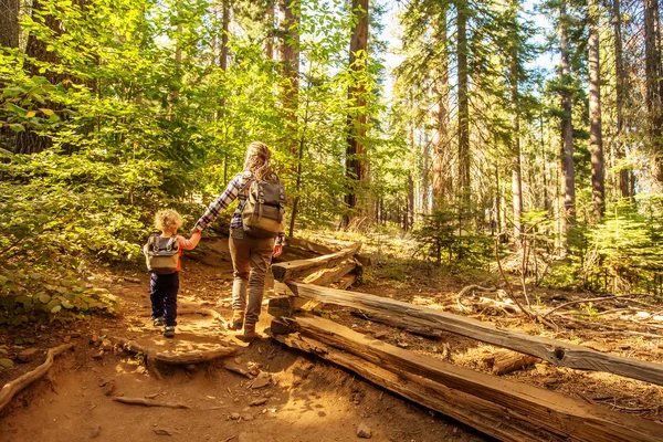 Yürümeye Başlayan Çocuk Annesiyle Ziyaret Yosemite Milli Parkı California Abd — Stok fotoğraf