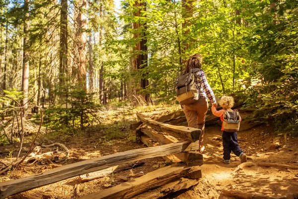 Yürümeye Başlayan Çocuk Annesiyle Ziyaret Yosemite Milli Parkı California Abd — Stok fotoğraf