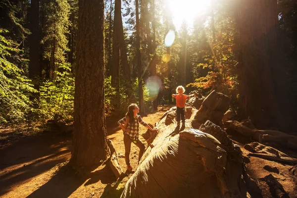 Ibu Dengan Balita Mengunjungi Taman Nasional Yosemite California Amerika Serikat — Stok Foto