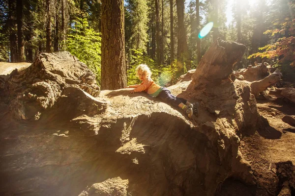 Matka Batoletem Navštívit Yosemitský Národní Park Kalifornii Usa — Stock fotografie