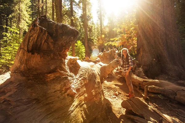 Mulher Parque Nacional Yosimite Perto Sequoia Califórnia Eua — Fotografia de Stock