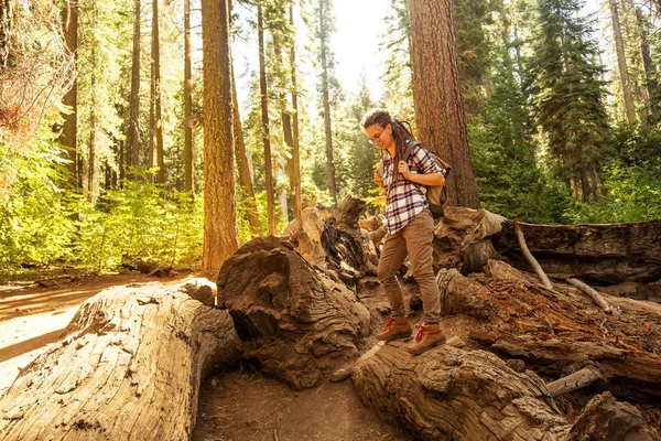 Žena Národním Parku Yosimite Poblíž Sequoia Kalifornii Usa — Stock fotografie