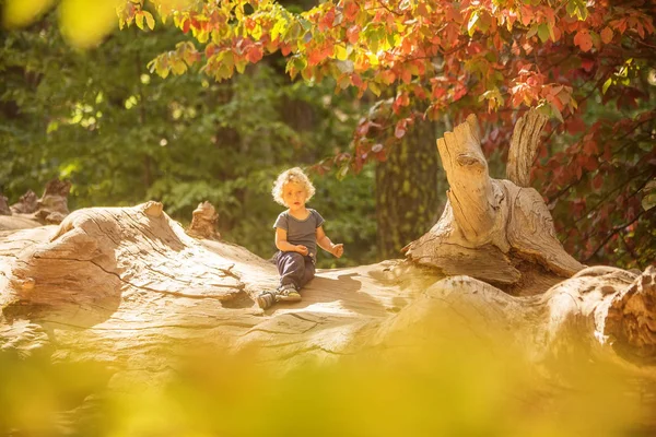 Természetjáró Totyogó Fiú Keresse Fel Yosemite Nemzeti Park Kaliforniában — Stock Fotó