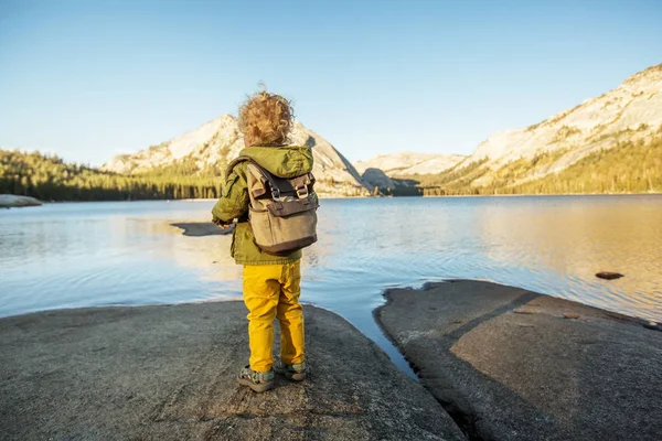 Αγόρι Toddler Πεζοπόρος Επισκεφτείτε Εθνικό Πάρκο Γιοσέμιτι Καλιφόρνια — Φωτογραφία Αρχείου